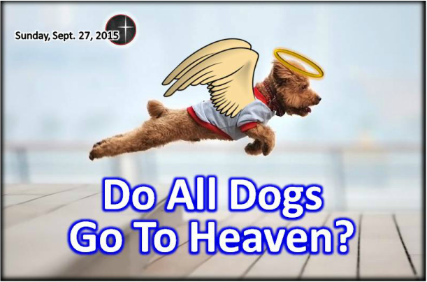 Do All Dogs go to Heaven?  A sermon from Word of Light Community Church