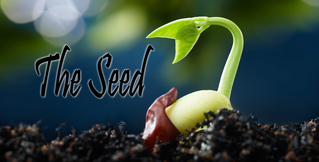 The Seed, WOLCC Newsletter edition 186